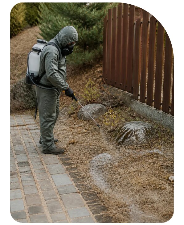 Обработка участка от змей в Ленинске-Кузнецком по цене от 5111 р. | Сенат-Лнн